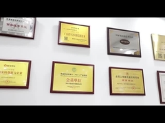 introducción de la compañía